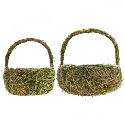 Floristik24 Cesto per piante con manici rafia e cesto verde fieno primavera 16×22/21×27 cm set da 2