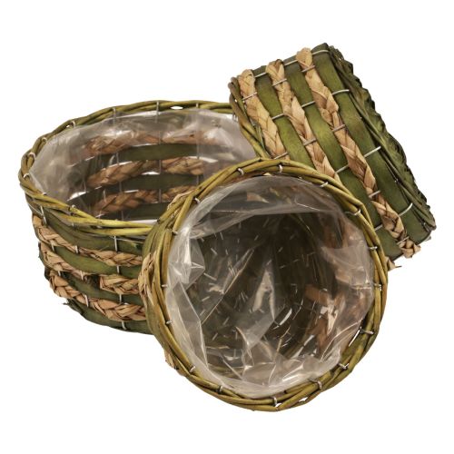Floristik24 Cestino rotondo per piante intrecciato in legno verde Ø26/21/18 cm set di 3