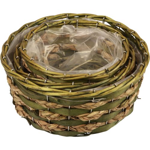 Floristik24 Cestino rotondo per piante intrecciato in legno verde Ø26/21/18 cm set di 3
