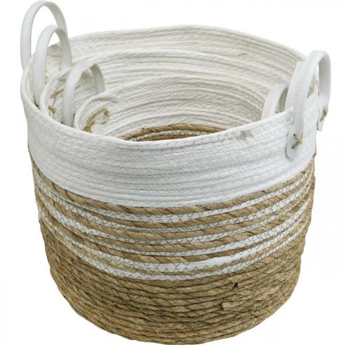 Floristik24 Cesto per piantare, utensile con manici, organizer bianco, naturale Ø32/28/23cm H30/25/19cm set di 3