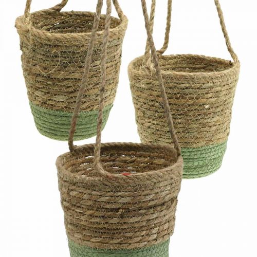 Prodotto Cesto sospeso, cestino naturale, fioriera per appendere naturale, verde Ø19/17/15cm set di 3