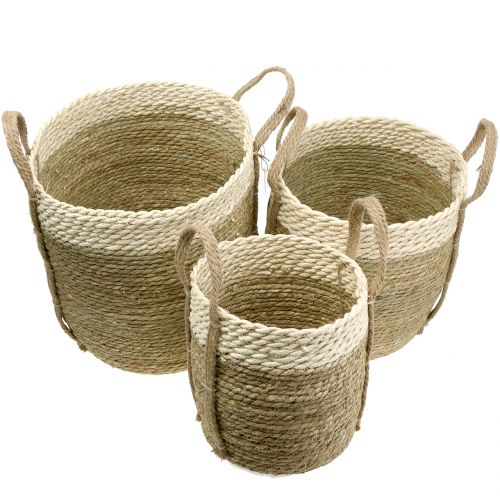 Floristik24 Cestino in sisal Ø37 / 30 / 25cm 3 pezzi