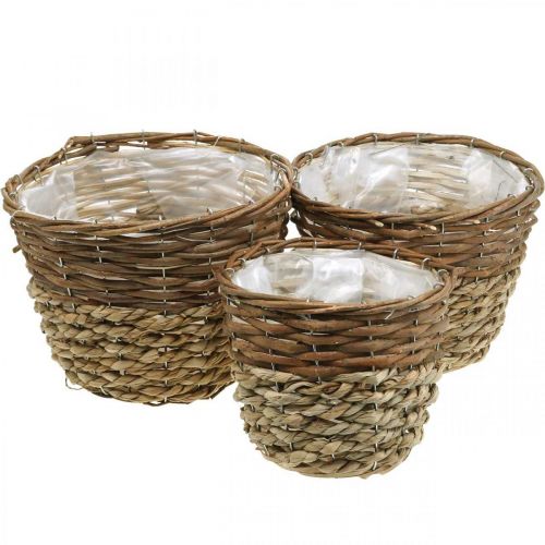 Cesto di fiori per piantare, fioriera, cesto di vimini natura Ø27/25/20 cm H20/18/17 cm set di 3