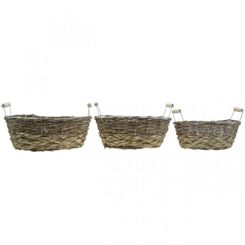 Prodotto Cesto naturale per piantare, cesto con manici, fioriera shabby chic lavato bianco L31/27,5/24 cm H12/11,5/10 cm set di 3