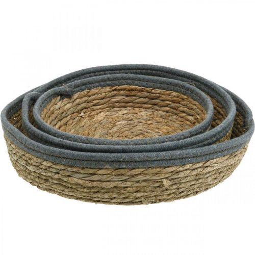 Prodotto Cestino rotondo, ciotola per piante naturali, vassoio decorativo intrecciato natura Ø33/30/25cm H8/7cm set di 3