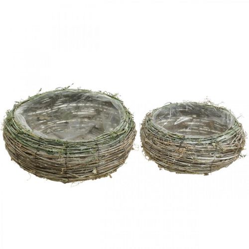 Floristik24 Cesto per piante rotondo vite bicolore, legno Ø18 / 25cm, set di 2