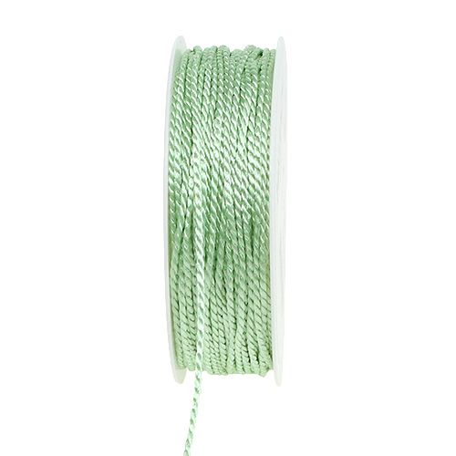 Floristik24 Cavo verde chiaro 2mm 50m