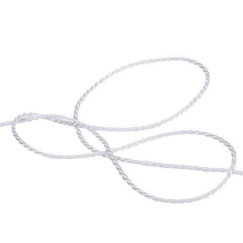Floristik24 Cavo bianco 2mm 50m