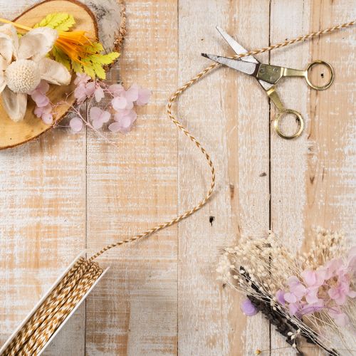 Nastro regalo, cordoncino bicolore, 3 mm, 20 m | Floristik24.it