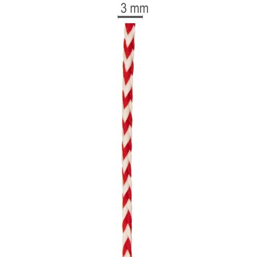 Cordino con motivo a zigzag in rotolo per lavori creativi e confezioni regalo, diametro 3 mm, lunghezza 20 m | Floristik24.it