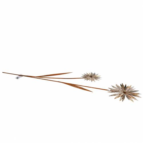 Floristik24 Spina da giardino in metallo patinato fiordaliso bianco Ø10 / 15cm H66cm