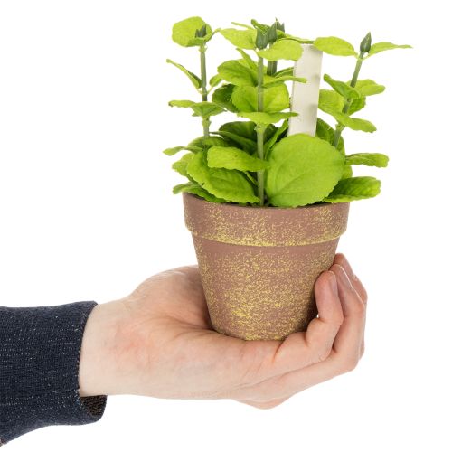 Prodotto Erbe aromatiche artificiali in vaso Decorazioni assortiti per cucina, giardino, balcone o terrazza 15 cm, 3 pezzi