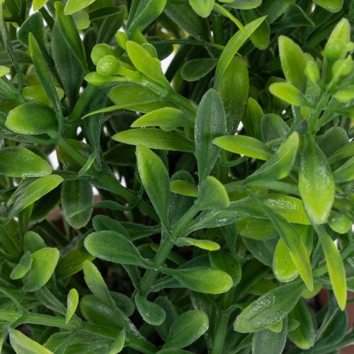 Prodotto Pianta artificiale in vaso con texture realistica per uso interno e decorazione, 18 cm, 3 pezzi