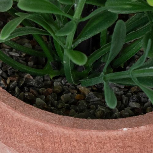 Prodotto Pianta artificiale in vaso con texture realistica per uso interno e decorazione, 18 cm, 3 pezzi