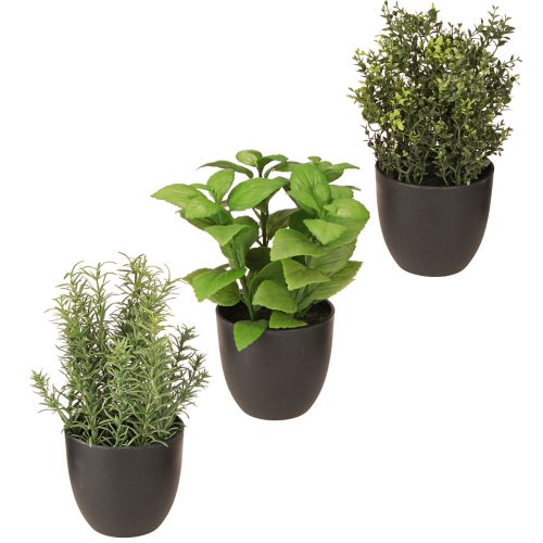 Floristik24 Erbe artificiali basilico timo rosmarino Ø11,5cm 3pz