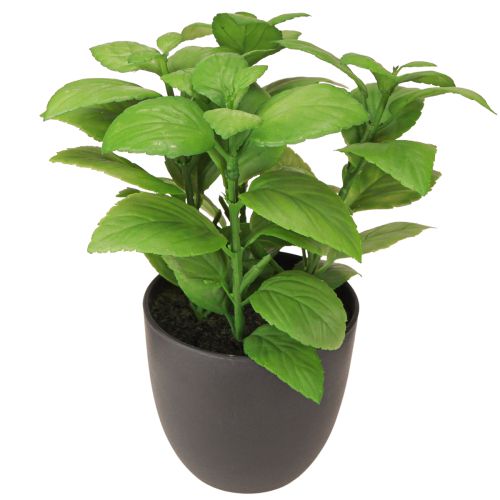Prodotto Erbe artificiali basilico timo rosmarino Ø11,5cm 3pz