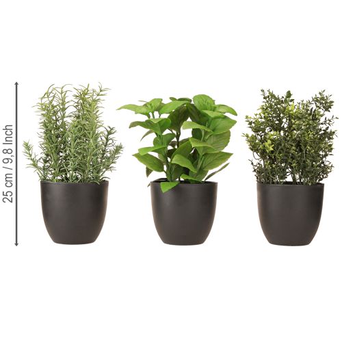 Prodotto Erbe artificiali basilico timo rosmarino Ø11,5cm 3pz