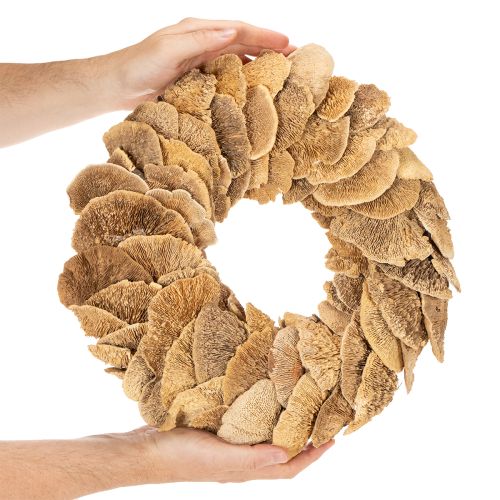 Ghirlanda di funghi per alberi, colore naturale, per decorazione di porte o pareti, 37 cm | Floristik24.it
