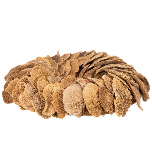 Ghirlanda di funghi per alberi, colore naturale, per decorazione di porte o pareti, 37 cm | Floristik24.it