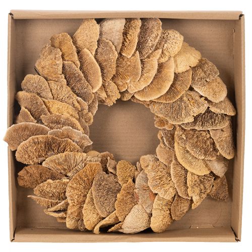 Ghirlanda di funghi per alberi, colore naturale, per decorazione di porte o pareti, 37 cm | Floristik24.it