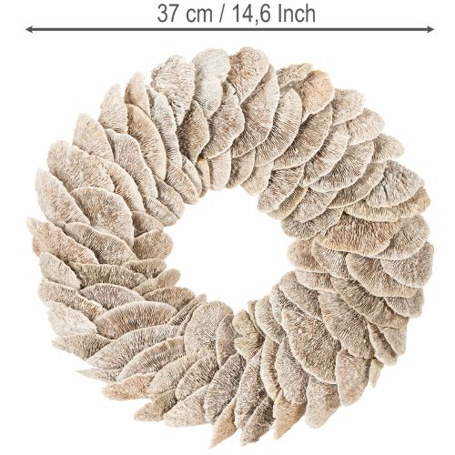 Decorazione per albero a forma di ghirlanda in spugna naturale, 37 cm | Floristik24.it