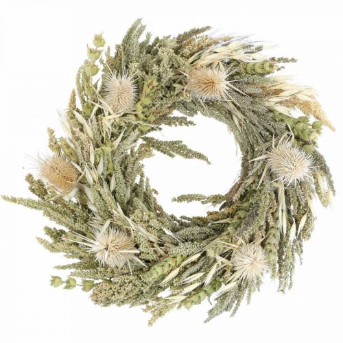 Floristik24 Carta ghirlanda di fiori essiccati erba di cardo grano Ø28cm