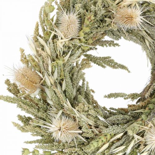 Floristik24 Carta ghirlanda di fiori essiccati erba di cardo grano Ø28cm