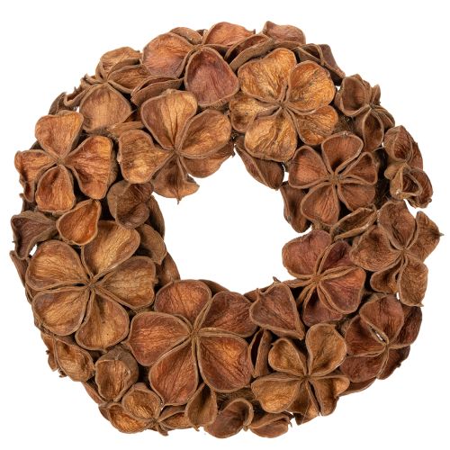 Ghirlanda di loto essiccato, ghirlanda decorativa per porta, 35 cm