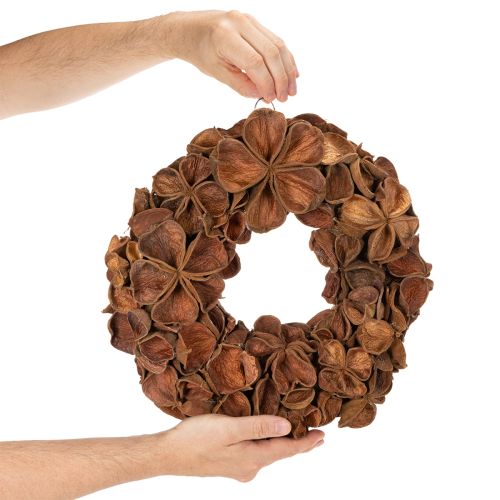 Ghirlanda di loto essiccato, ghirlanda decorativa per porta, 35 cm | Floristik24.it