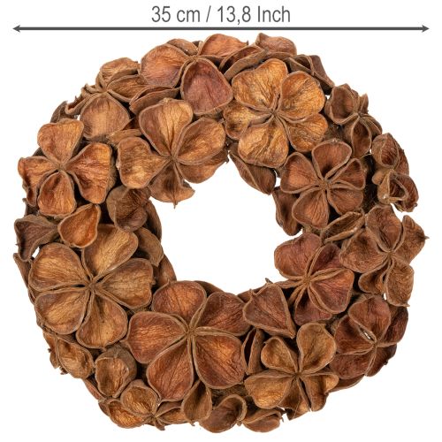 Ghirlanda di loto essiccato, ghirlanda decorativa per porta, 35 cm | Floristik24.it