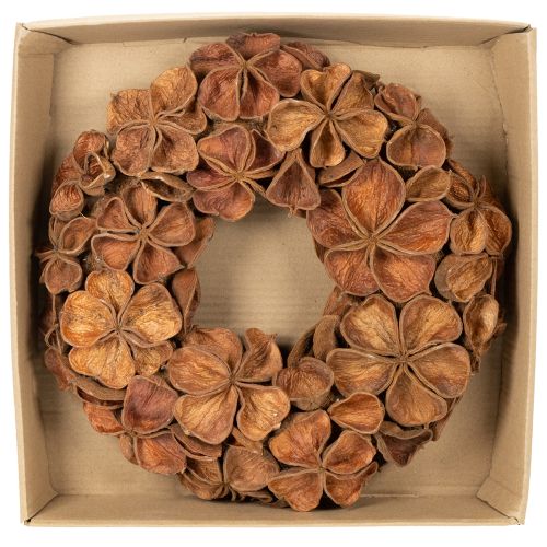 Ghirlanda di loto essiccato, ghirlanda decorativa per porta, 35 cm | Floristik24.it