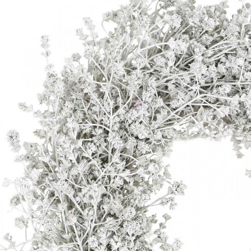 Floristik24 Ghirlanda natalizia Ghirlanda di fiori bianchi essiccati in lino Ø34cm