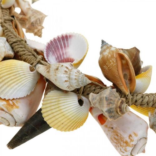 Floristik24 Corona decorativa conchiglie e lumache decorazione marittima naturale Ø30cm