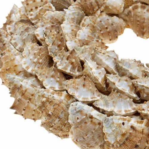 Floristik24 Deco lumache ghirlande Decorazione marittima porta ghirlande lumache di mare Ø25cm