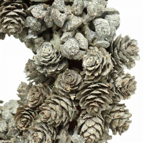 Floristik24 Coni ghirlanda decorativa larice e cipresso bianco, glitter Ø20cm 2 pezzi