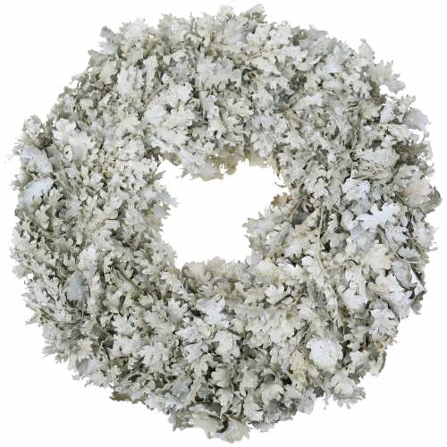 Floristik24 Corona di foglie di quercia lavate bianche Ø38cm