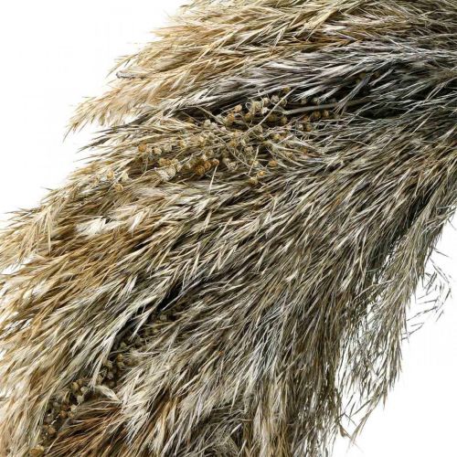 Ghirlanda decorativa erba secca e grano Ø55cm ghirlanda secca
