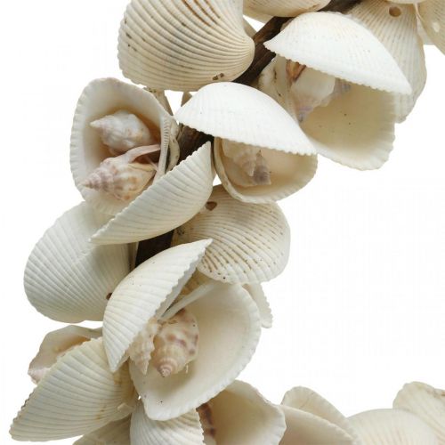 Prodotto Ghirlanda marittima, decorazione marina, conchiglie decorative per ghirlande e conchiglie di lumache naturali Ø26,5 cm