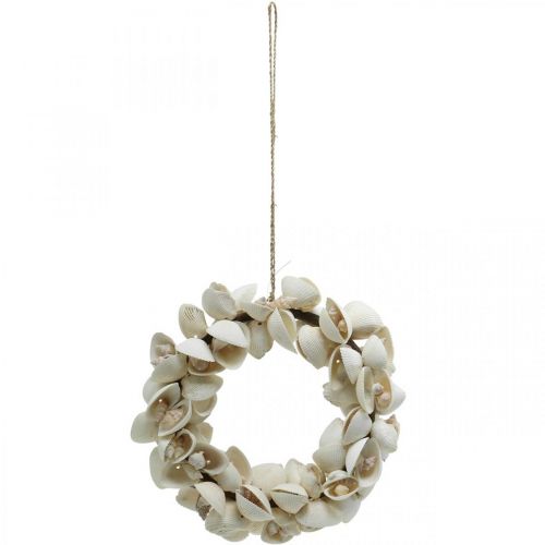 Floristik24 Ghirlanda marittima, decorazione marina, conchiglie decorative per ghirlande e conchiglie di lumache naturali Ø26,5 cm