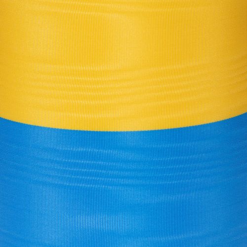 Nastro ghirlanda moiré blu e giallo, 100 mm, nastro nazionale, nastro club, nastro decorativo, nastro da lutto festivo, acetato | Floristik24.it