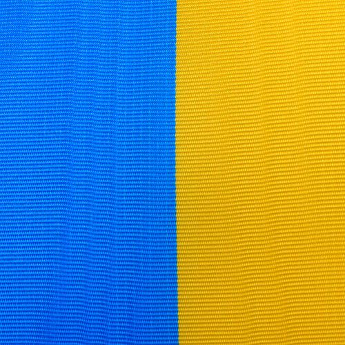 Prodotto Nastro ghirlanda moiré blu-giallo 100 mm