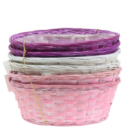 Prodotto Cestino per patatine rotondo viola/bianco/rosa Ø25cm 6 pz