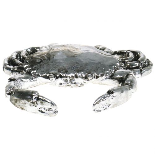 Floristik24 Deco cancro argento antico 12cm