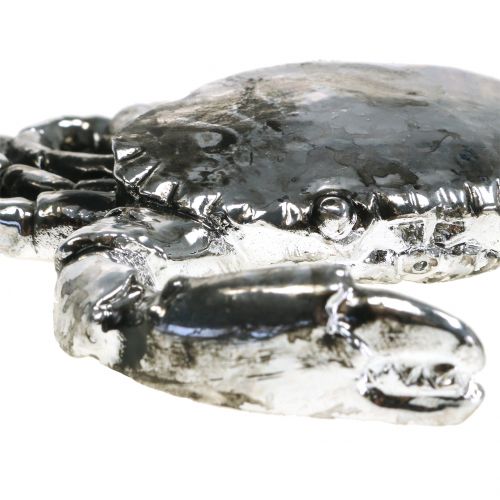 Floristik24 Deco cancro argento antico 12cm