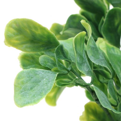 Floristik24 Basilico in un mazzo verde artificiale 36 cm 6 pezzi