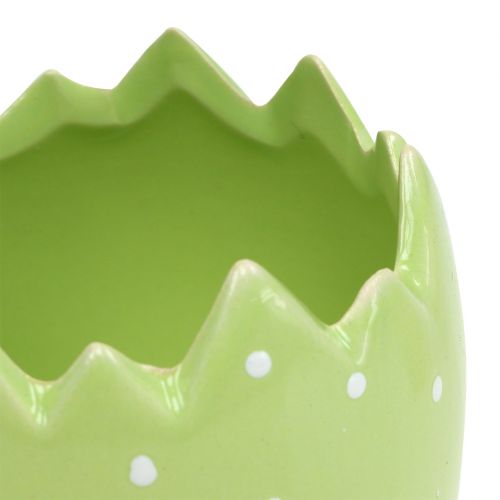 Floristik24 Vaso per fiori guscio d&#39;uovo Ø8 cm H8,5 cm 8 pezzi