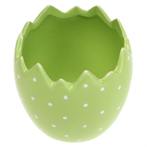 Floristik24 Vaso per fiori guscio d&#39;uovo Ø8 cm H8,5 cm 8 pezzi