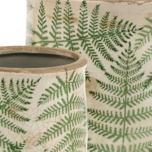 Floristik24 Fioriera in terracotta felce vaso per piante in ceramica Ø15/10,5 cm set di 2
