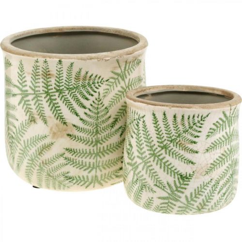 Floristik24 Fioriera in terracotta felce vaso per piante in ceramica Ø15/10,5 cm set di 2