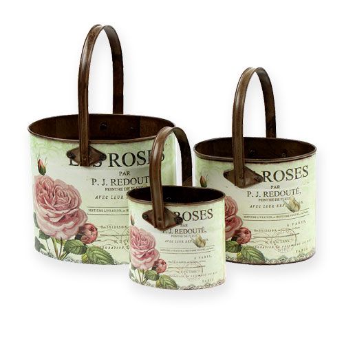 Floristik24 Set vasca decorativo con manico, motivo rosa 3pz